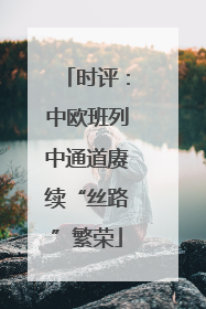时评：中欧班列中通道赓续“丝路”繁荣