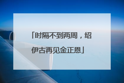 时隔不到两周，绍伊古再见金正恩