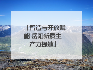 智造与开放赋能 岳阳新质生产力提速