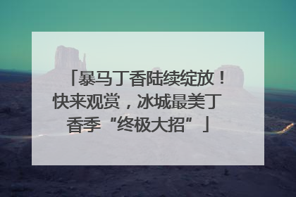 暴马丁香陆续绽放！快来观赏，冰城最美丁香季“终极大招”