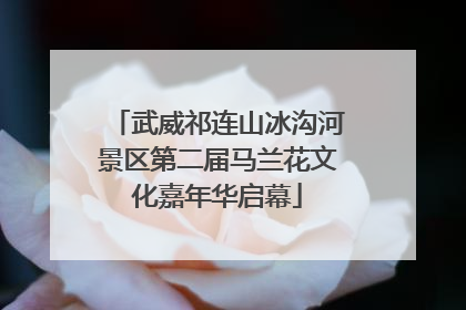 武威祁连山冰沟河景区第二届马兰花文化嘉年华启幕
