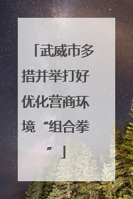 武威市多措并举打好优化营商环境“组合拳”