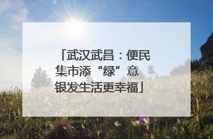 武汉武昌：便民集市添“绿”意 银发生活更幸福