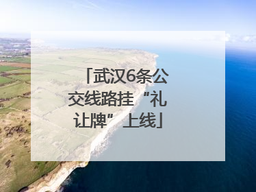 武汉6条公交线路挂“礼让牌”上线