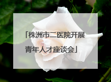 株洲市二医院开展青年人才座谈会