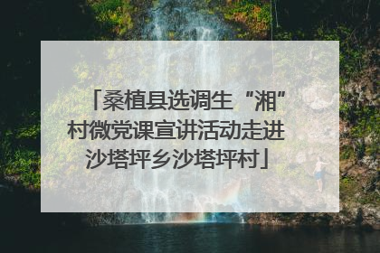 桑植县选调生“湘”村微党课宣讲活动走进沙塔坪乡沙塔坪村