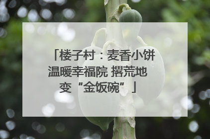 楼子村：麦香小饼温暖幸福院 撂荒地变“金饭碗”