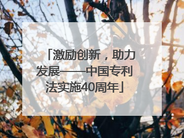 激励创新，助力发展——中国专利法实施40周年