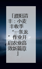 濮阳清丰：小麦丰收季 “一条龙”作业开启农业高效新篇章