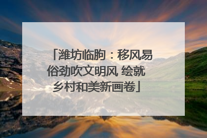 潍坊临朐：移风易俗劲吹文明风 绘就乡村和美新画卷
