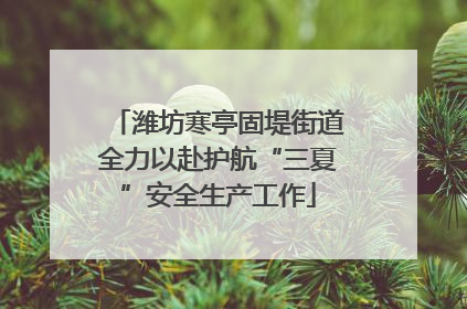 潍坊寒亭固堤街道全力以赴护航“三夏”安全生产工作