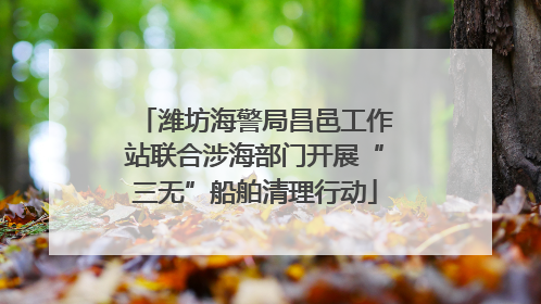 潍坊海警局昌邑工作站联合涉海部门开展“三无”船舶清理行动