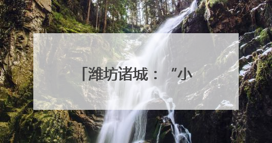 潍坊诸城：“小药材”变身群众致富“大产业”