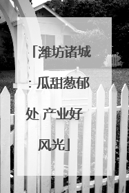 潍坊诸城：瓜甜葱郁处 产业好风光