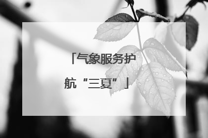 气象服务护航“三夏”