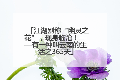江湖别称“幽灵之花”，现身临沧！——有一种叫云南的生活之365天