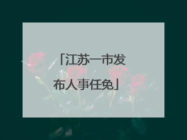 江苏一市发布人事任免