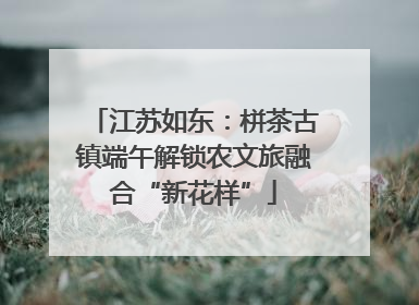 江苏如东：栟茶古镇端午解锁农文旅融合“新花样”