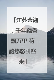 江苏金湖：千年藕香飘万里 荷韵悠悠引客来