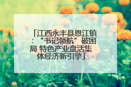 江西永丰县恩江镇：“书记领航”破困局 特色产业盘活集体经济新引擎