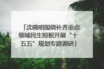 沈晓明围绕补齐重点领域民生短板开展“十五五”规划专题调研