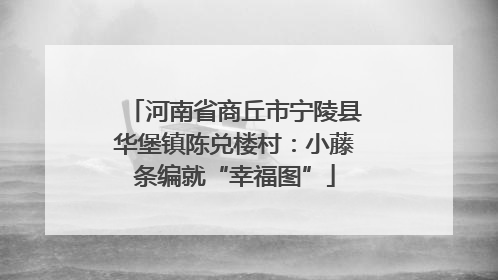 河南省商丘市宁陵县华堡镇陈兑楼村：小藤条编就“幸福图”