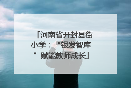 河南省开封县街小学：“银发智库”赋能教师成长