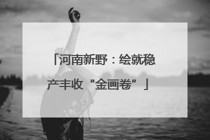 河南新野：绘就稳产丰收“金画卷”