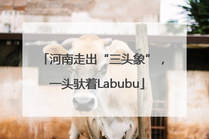 河南走出“三头象”，一头驮着Labubu