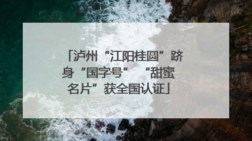 泸州“江阳桂圆”跻身“国字号” “甜蜜名片”获全国认证