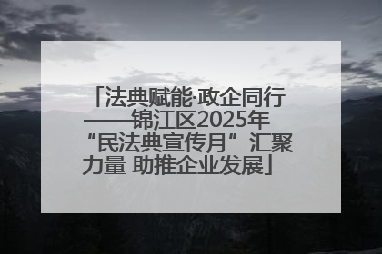 法典赋能·政企同行——锦江区2025年“民法典宣传月”汇聚力量 助推企业发展