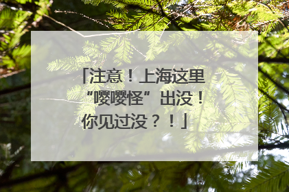 注意！上海这里“嘤嘤怪”出没！你见过没？！