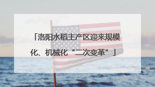 洛阳水稻主产区迎来规模化、机械化“二次变革”