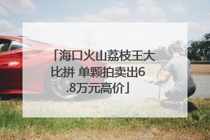 海口火山荔枝王大比拼 单颗拍卖出6.8万元高价