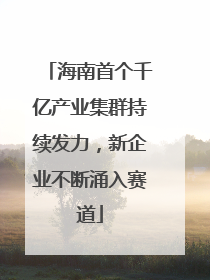 海南首个千亿产业集群持续发力，新企业不断涌入赛道