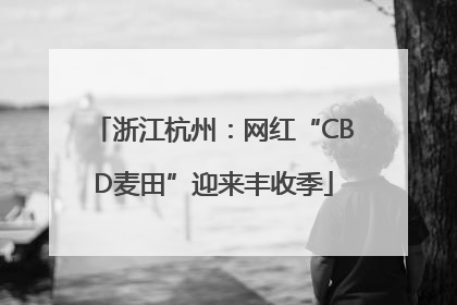 浙江杭州：网红“CBD麦田”迎来丰收季