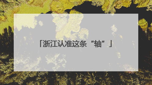 浙江认准这条“轴”