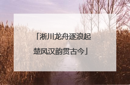 淅川龙舟逐浪起 楚风汉韵贯古今
