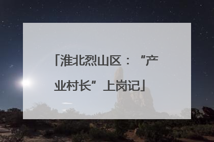 淮北烈山区：“产业村长”上岗记