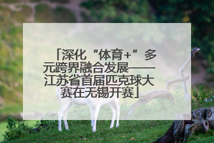深化“体育+”多元跨界融合发展——江苏省首届匹克球大赛在无锡开赛
