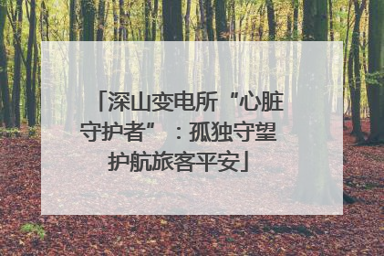 深山变电所“心脏守护者”：孤独守望护航旅客平安