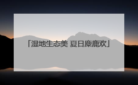湿地生态美 夏日麋鹿欢