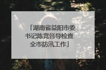 湖南省益阳市委书记陈竞督导检查全市防汛工作