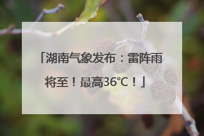 湖南气象发布：雷阵雨将至！最高36℃！