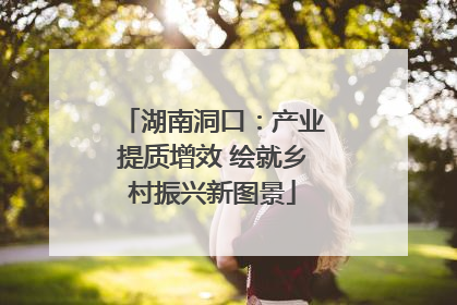 湖南洞口：产业提质增效 绘就乡村振兴新图景