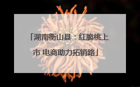 湖南衡山县：红脆桃上市 电商助力拓销路