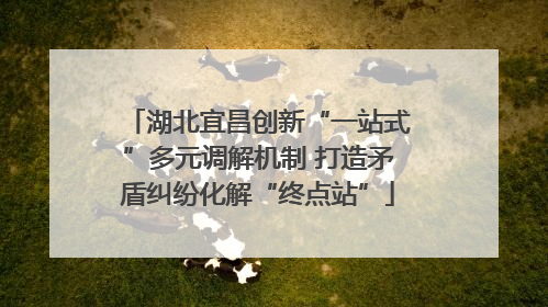 湖北宜昌创新“一站式”多元调解机制 打造矛盾纠纷化解“终点站”