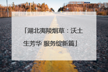 湖北夷陵烟草：沃土生芳华 服务绽新篇