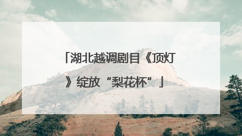 湖北越调剧目《顶灯》绽放“梨花杯”