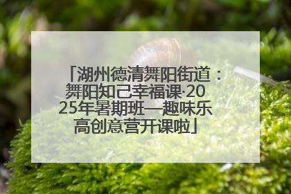 湖州德清舞阳街道：舞阳知己幸福课·2025年暑期班—趣味乐高创意营开课啦
